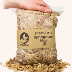 SYBASoil Sphagnum Mos 3L - 5-15cm - Hydrocultuur Groeimedium - Lokaal Geoogst -Aanbiedingen Bloeiruimte Winkel 1048x1200 1