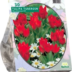 Aanbiedingen Bloeiruimte Winkel -Aanbiedingen Bloeiruimte Winkel 1049x1200