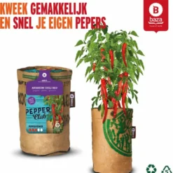 Baza Stadstuin Hete Peper Kweek Pakket 12 Baza Stadstuin Hete Peper Kweek Pakket -Aanbiedingen Bloeiruimte Winkel 1090x1200 1