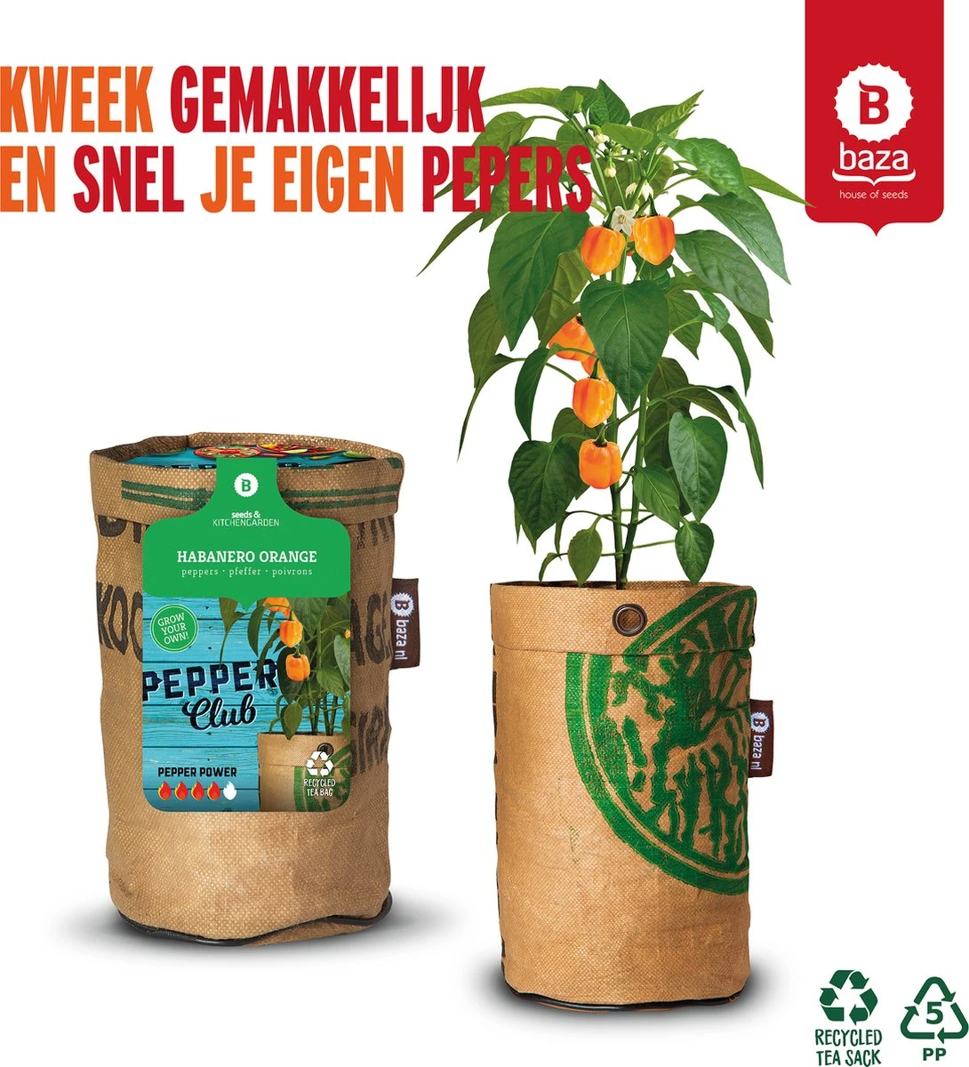 Baza Stadstuin Hete Peper Kweek Pakket 4 Baza Stadstuin Hete Peper Kweek Pakket - Afbeelding 4