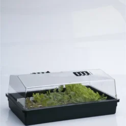 Grote Kweekbak/kweekkastje Met Deksel 24 X 59 X 39 Cm - Propagator/moestuinbak -Aanbiedingen Bloeiruimte Winkel 1101x1200