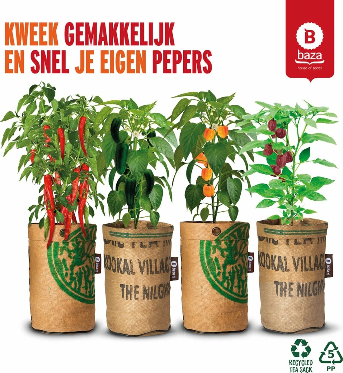Baza Stadstuin Hete Peper Kweek Pakket 1 Baza Stadstuin Hete Peper Kweek Pakket