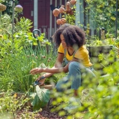 GARDENA - ExpertCut - Snoeischaar - 22 Diameter Tak -Aanbiedingen Bloeiruimte Winkel 1116x1200 3