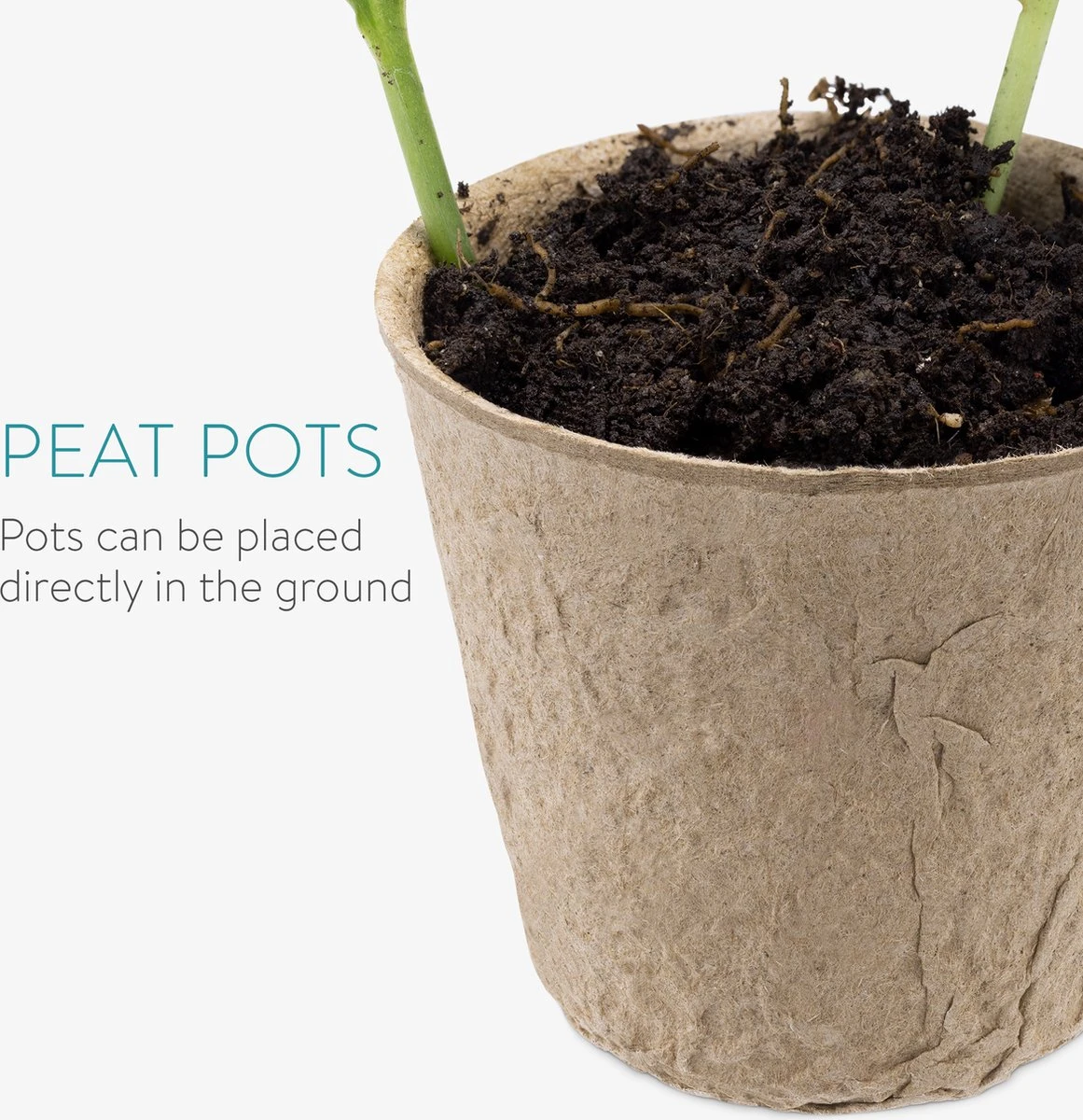 Navaris Zaden Starter Groei Set - 63-delige Set Met Potten Trays Deksel Labels Potlood Gatenmaker En Spatel - Kweek Nieuwe Planten 2 Navaris Zaden Starter Groei Set - 63-delige Set Met Potten Trays Deksel Labels Potlood Gatenmaker En Spatel - Kweek Nieuwe Planten - Afbeelding 2