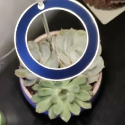 A Sunny Day Kweeklamp LED Ring Wit Licht - 3 Ringen - Groeilamp Voor Planten - Zonlicht Lamp - Grow Light 13 A Sunny Day Kweeklamp LED Ring Wit Licht - 3 Ringen - Groeilamp Voor Planten - Zonlicht Lamp - Grow Light -Aanbiedingen Bloeiruimte Winkel 1193x1200