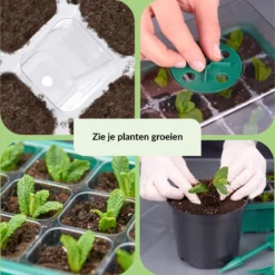 5 Pack LeafImpact Kweekbak - Complete Kweekset - Kweektafel - Verstelbare Ventilatie - Kweekbakken Moestuin -Aanbiedingen Bloeiruimte Winkel 1194x1200 4