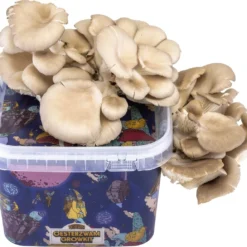 ToshiFarm Triple Kweekbundel - 3x Oesterzwam Growkit - 3x Oesterzwamsporen (Grijs, Geel En Roze) -Aanbiedingen Bloeiruimte Winkel 1200x1039