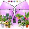 Kweeklamp Indoor - Full Spectrum Licht - Automatische Timer 3, 9 En 12 Uur - 4-Koppig - Groeilamp - Groei Van Planten - 80 LEDs - 40W