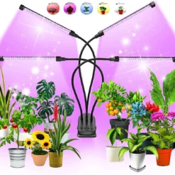 Kweeklamp Indoor - Full Spectrum Licht - Automatische Timer 3, 9 En 12 Uur - 4-Koppig - Groeilamp - Groei Van Planten - 80 LEDs - 40W