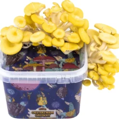 ToshiFarm Triple Kweekbundel - 3x Oesterzwam Growkit - 3x Oesterzwamsporen (Grijs, Geel En Roze) -Aanbiedingen Bloeiruimte Winkel 1200x1132