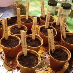 Talen Tools - Turfpotjes/stekpotjes/Moestuinpotjes - Rond 6 Cm - Biologisch Afbreekbaar- 96 Stuks -Aanbiedingen Bloeiruimte Winkel 1200x1160 1