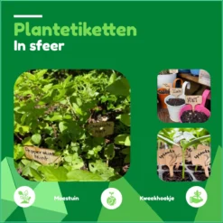 Tomassio® Plantenlabels - 100% Natuurlijk Bamboe - 20 Stuks Met Watervaste Stift - Eco Vriendelijk - Moestuin - Steeketiketten - Moestuin Bordjes - Plantlabel - Plantlabel Met Watervaste Zwarte Fineliner - Plantensteker - Plantenlabels Buiten -Aanbiedingen Bloeiruimte Winkel 1200x1198 14