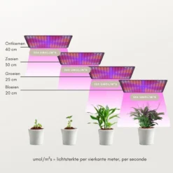 A Sunny Day LED Groeilamp - Kweeklamp - Full Spectrum - Groei & Bloei - Grow Light - Groeilamp Full Spectrum - 45 Watt - 30 X 30 Cm - 225 LEDs -Aanbiedingen Bloeiruimte Winkel 1200x1200 100