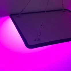 A Sunny Day LED Groeilamp - Grow Light - Kweeklamp - Versnelt Groei En Ontwikkeling - Groeilamp Rood Blauw - 45 Watt - 30 X 30 Cm - 225 LEDs 12 A Sunny Day LED Groeilamp - Grow Light - Kweeklamp - Versnelt Groei En Ontwikkeling - Groeilamp Rood Blauw - 45 Watt - 30 X 30 Cm - 225 LEDs -Aanbiedingen Bloeiruimte Winkel 1200x1200 117