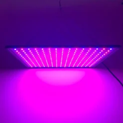 A Sunny Day LED Groeilamp - Grow Light - Kweeklamp - Versnelt Groei En Ontwikkeling - Groeilamp Rood Blauw - 45 Watt - 30 X 30 Cm - 225 LEDs 13 A Sunny Day LED Groeilamp - Grow Light - Kweeklamp - Versnelt Groei En Ontwikkeling - Groeilamp Rood Blauw - 45 Watt - 30 X 30 Cm - 225 LEDs -Aanbiedingen Bloeiruimte Winkel 1200x1200 118