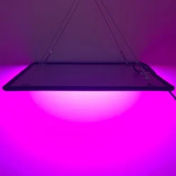 A Sunny Day LED Groeilamp - Grow Light - Kweeklamp - Versnelt Groei En Ontwikkeling - Groeilamp Rood Blauw - 45 Watt - 30 X 30 Cm - 225 LEDs 14 A Sunny Day LED Groeilamp - Grow Light - Kweeklamp - Versnelt Groei En Ontwikkeling - Groeilamp Rood Blauw - 45 Watt - 30 X 30 Cm - 225 LEDs -Aanbiedingen Bloeiruimte Winkel 1200x1200 119