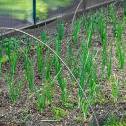 Merkloos Kweektunnel Met Zwart Gaasnet - 300x45x45 Cm -Aanbiedingen Bloeiruimte Winkel 1200x1200 12