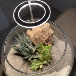 A Sunny Day Kweeklamp LED Ring Wit Licht - 3 Ringen - Groeilamp Voor Planten - Zonlicht Lamp - Grow Light 14 A Sunny Day Kweeklamp LED Ring Wit Licht - 3 Ringen - Groeilamp Voor Planten - Zonlicht Lamp - Grow Light -Aanbiedingen Bloeiruimte Winkel 1200x1200 134