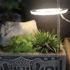 A Sunny Day Kweeklamp LED Ring Wit Licht - 3 Ringen - Groeilamp Voor Planten - Zonlicht Lamp - Grow Light 15 A Sunny Day Kweeklamp LED Ring Wit Licht - 3 Ringen - Groeilamp Voor Planten - Zonlicht Lamp - Grow Light -Aanbiedingen Bloeiruimte Winkel 1200x1200 135