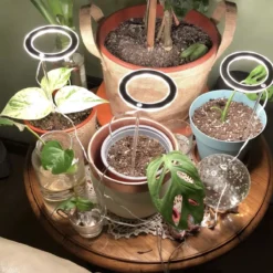 A Sunny Day Kweeklamp LED Ring Wit Licht - 3 Ringen - Groeilamp Voor Planten - Zonlicht Lamp - Grow Light 17 A Sunny Day Kweeklamp LED Ring Wit Licht - 3 Ringen - Groeilamp Voor Planten - Zonlicht Lamp - Grow Light -Aanbiedingen Bloeiruimte Winkel 1200x1200 136