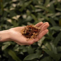 SYBASoil Orchidee Mix 5L - Turfvrije Potgrond Mix - 6 Maanden Voeding -Aanbiedingen Bloeiruimte Winkel 1200x1200 141