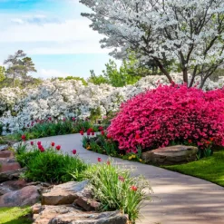 Moorland Gardur - Anti Onkruiddoek Tuin 2m X 5m (20m²) Zwart - Antiworteldoek UV-licht Bestendig, Waterdoorlatend Voor Tuin, Terras & Bloembed -Aanbiedingen Bloeiruimte Winkel 1200x1200 152