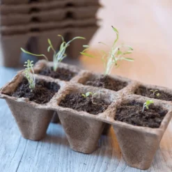 Nature - Kweekset Start - Complete Set Voor Zaaien En Stekken -Aanbiedingen Bloeiruimte Winkel 1200x1200 179