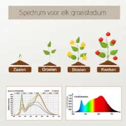 A Sunny Day Kweeklamp LED Warm Wit Licht Inclusief USB Voeding En Tafelclip - Groeilamp Voor De Bloei Van Planten - Zonlicht Lamp - Grow Light - 40 Watt - Automatisch Timer Voor 3-9-12 Uur -Aanbiedingen Bloeiruimte Winkel 1200x1200 241