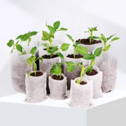 BioGrow | Milieuvriendelijke Groeipotjes | 20 Stuks | Ø7x9cm | Biologisch Afbreekbaar | Gemaakt Van Bamboe | Ideaal Voor Stekken, Zaaien En Groeien | Geschikt Als Turfpotjes, Stekzakjes, Groeibakjes En Zaaibakjes -Aanbiedingen Bloeiruimte Winkel 1200x1200 25