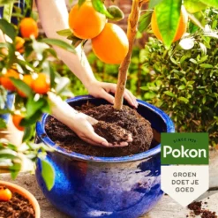Pokon Bio Mediterrane Potgrond - 30L - Biologische Potgrond - 100 Dagen Voeding -Aanbiedingen Bloeiruimte Winkel 1200x1200 3