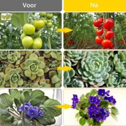 Ortho® - LED Groeilamp - Wit Licht - Bloeilamp - Kweeklamp - Full Spectrum - Grow Light - Groei Lamp (met 3 Lampen) Met Flexibele Lamphouder - Hoge Lichtintensiteit - Klem Spotje - 3x -Aanbiedingen Bloeiruimte Winkel 1200x1200 30