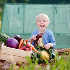 Relaxdays Kweekkas - 110 X 180 X 150 Cm - Foliekas - Uv-bestendig - Laag - Tuinkas - Groen -Aanbiedingen Bloeiruimte Winkel 1200x1200 360