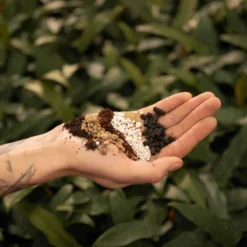 SYBASoil Cactus & Vetplant Mix 5L - Turfvrije Potgrond Mix - 6 Maanden Voeding -Aanbiedingen Bloeiruimte Winkel 1200x1200 37