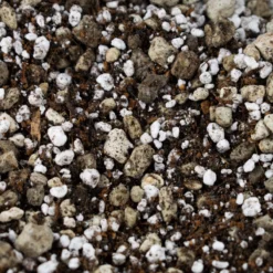 Bonsai Grond Mix - 5L - SYBASoil - Potgrond - Zonder Turf/veen -Aanbiedingen Bloeiruimte Winkel 1200x1200 371