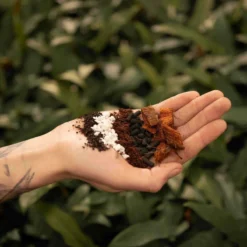 SYBASoil Aroid Mix 5L - Turfvrije Potgrond Mix - 6 Maanden Voeding -Aanbiedingen Bloeiruimte Winkel 1200x1200 376