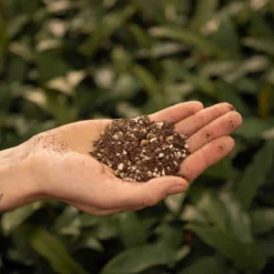 SYBASoil Cactus & Vetplant Mix 5L - Turfvrije Potgrond Mix - 6 Maanden Voeding -Aanbiedingen Bloeiruimte Winkel 1200x1200 38