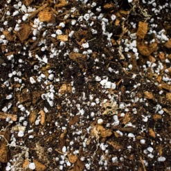 SYBASoil Aroid Mix 5L - Turfvrije Potgrond Mix - 6 Maanden Voeding -Aanbiedingen Bloeiruimte Winkel 1200x1200 380