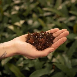 SYBASoil Aroid Mix 5L - Turfvrije Potgrond Mix - 6 Maanden Voeding -Aanbiedingen Bloeiruimte Winkel 1200x1200 382