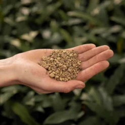 SYBASoil Puimsteen 3L - Bodemverbeteraar - Terrarium Decoratie -Aanbiedingen Bloeiruimte Winkel 1200x1200 391