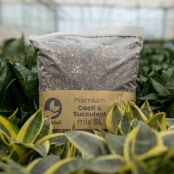 SYBASoil Cactus & Vetplant Mix 5L - Turfvrije Potgrond Mix - 6 Maanden Voeding -Aanbiedingen Bloeiruimte Winkel 1200x1200 40