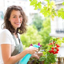 Grouw Mini-kweekkast -Aanbiedingen Bloeiruimte Winkel 1200x1200 400