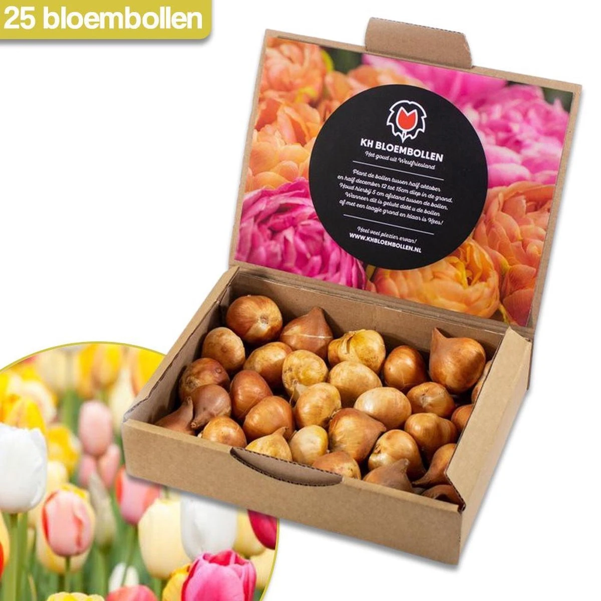 Merkloos Verschillende Kleuren Tulpenbollen Mix Met 30 Tulpen Bollen - Bloembollen Mix - Tuin - Tuindecoratie - Bloemen - Balkon 2 Merkloos Verschillende Kleuren Tulpenbollen Mix Met 30 Tulpen Bollen - Bloembollen Mix - Tuin - Tuindecoratie - Bloemen - Balkon - Afbeelding 2