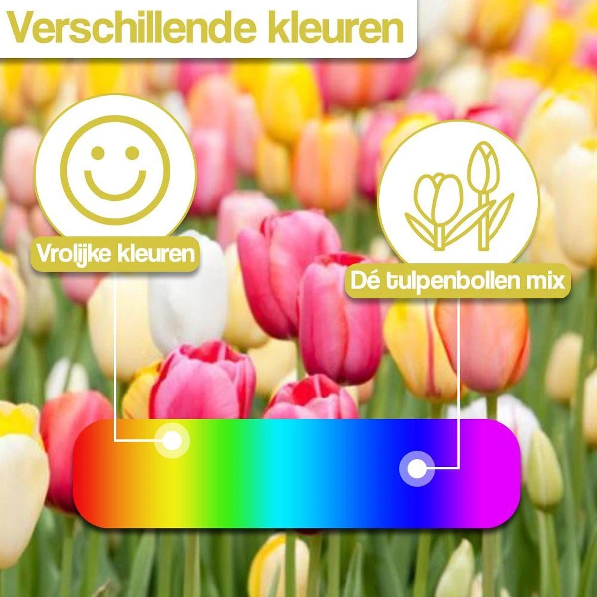 Merkloos Verschillende Kleuren Tulpenbollen Mix Met 30 Tulpen Bollen - Bloembollen Mix - Tuin - Tuindecoratie - Bloemen - Balkon 4 Merkloos Verschillende Kleuren Tulpenbollen Mix Met 30 Tulpen Bollen - Bloembollen Mix - Tuin - Tuindecoratie - Bloemen - Balkon - Afbeelding 4