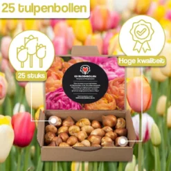 Merkloos Verschillende Kleuren Tulpenbollen Mix Met 30 Tulpen Bollen - Bloembollen Mix - Tuin - Tuindecoratie - Bloemen - Balkon 14 Merkloos Verschillende Kleuren Tulpenbollen Mix Met 30 Tulpen Bollen - Bloembollen Mix - Tuin - Tuindecoratie - Bloemen - Balkon -Aanbiedingen Bloeiruimte Winkel 1200x1200 429