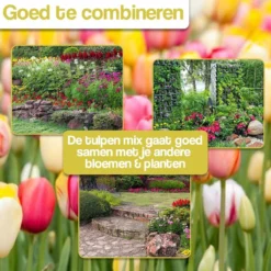 Merkloos Verschillende Kleuren Tulpenbollen Mix Met 30 Tulpen Bollen - Bloembollen Mix - Tuin - Tuindecoratie - Bloemen - Balkon 15 Merkloos Verschillende Kleuren Tulpenbollen Mix Met 30 Tulpen Bollen - Bloembollen Mix - Tuin - Tuindecoratie - Bloemen - Balkon -Aanbiedingen Bloeiruimte Winkel 1200x1200 430