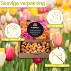 Merkloos Verschillende Kleuren Tulpenbollen Mix Met 30 Tulpen Bollen - Bloembollen Mix - Tuin - Tuindecoratie - Bloemen - Balkon 19 Merkloos Verschillende Kleuren Tulpenbollen Mix Met 30 Tulpen Bollen - Bloembollen Mix - Tuin - Tuindecoratie - Bloemen - Balkon -Aanbiedingen Bloeiruimte Winkel 1200x1200 434