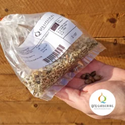 Aanbiedingen Bloeiruimte Winkel -Aanbiedingen Bloeiruimte Winkel 1200x1200 442