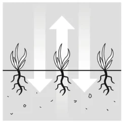 GARDENA EVC 1000 Verticuteermachine - Werkbreedte 30 Cm - Werkgebied 600m2 -Aanbiedingen Bloeiruimte Winkel 1200x1200 608