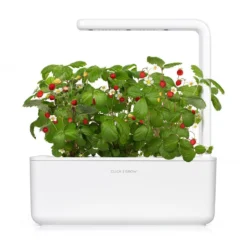 Click And Grow - Smart Garden 3 - Wit -Aanbiedingen Bloeiruimte Winkel 1200x1200 64