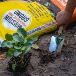 ECOstyle Moestuin Grond Groente Fruit & Kruiden Turfvrije Potgrond - Organische Voeding Voor 3 Maanden - Kokosvezel - 30 L -Aanbiedingen Bloeiruimte Winkel 1200x1200 85